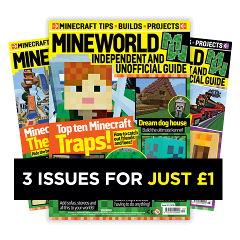 Minecraft World Print Subscription